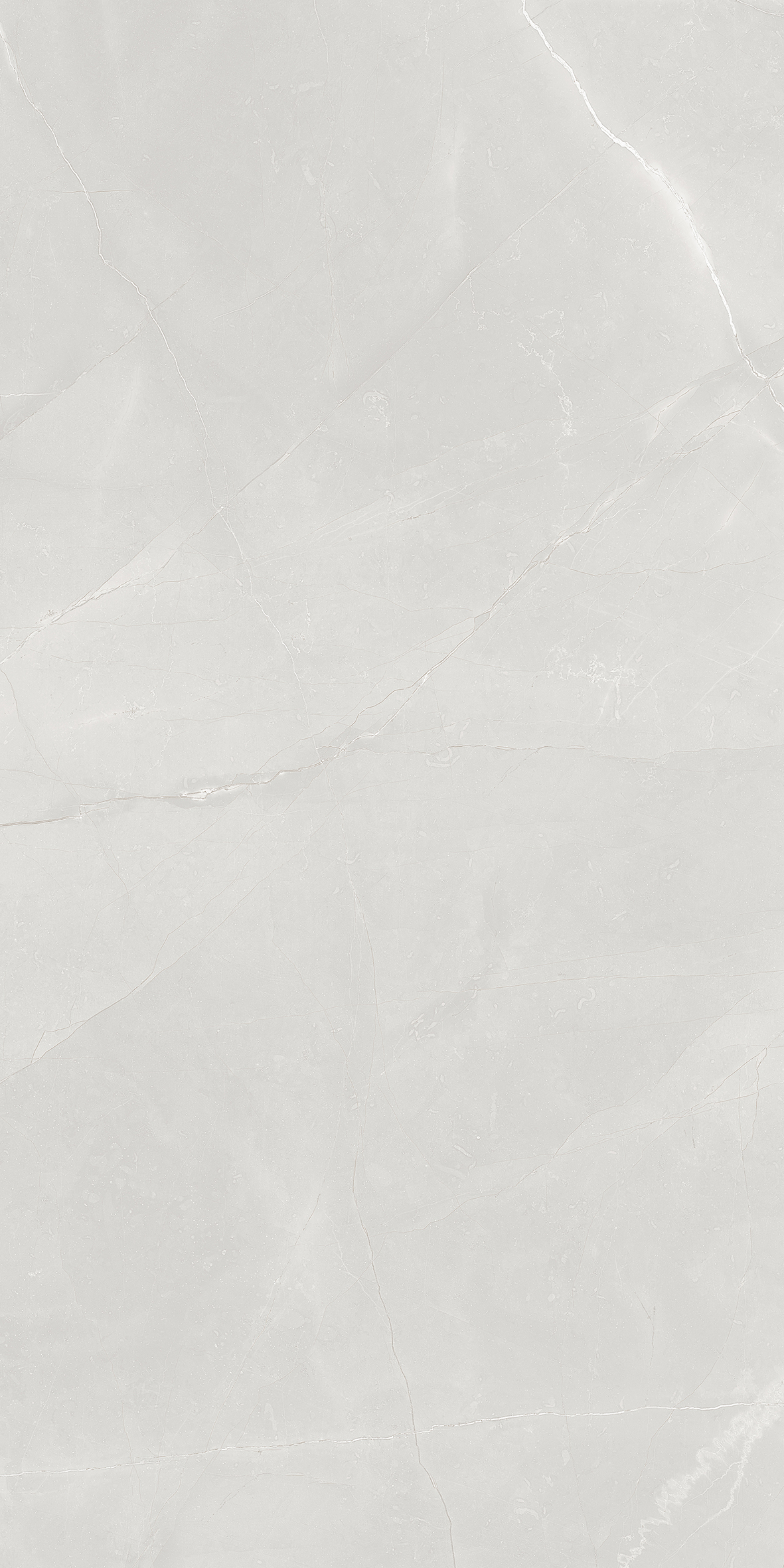 GRESIE ARKO SILVER GLOSSY 60X120 - Imagine 1