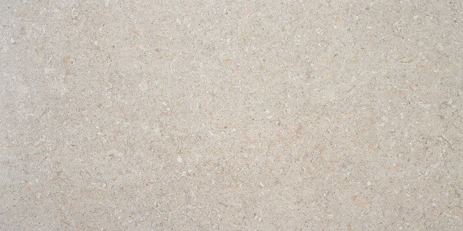 GRESIE OIKOS NATURAL MATT 60X120 - Imagine 1
